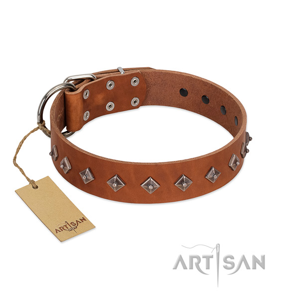 Natural leather dog collar with incredible embellishments crafted canine