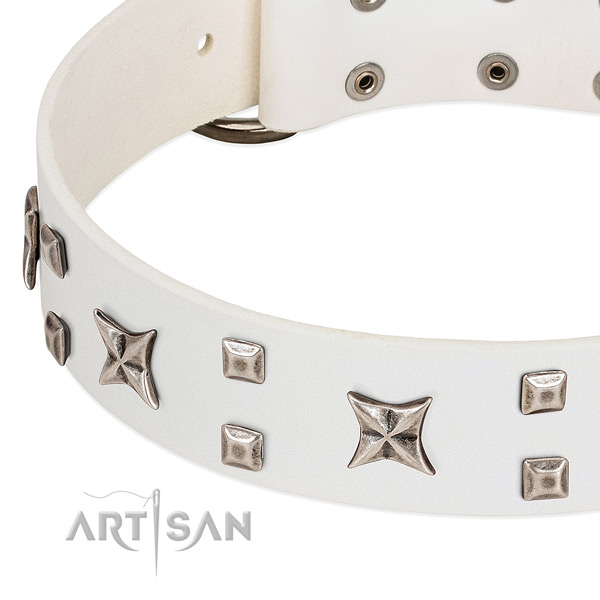 Best quality genuine leather dog collar with adornments for comfy wearing