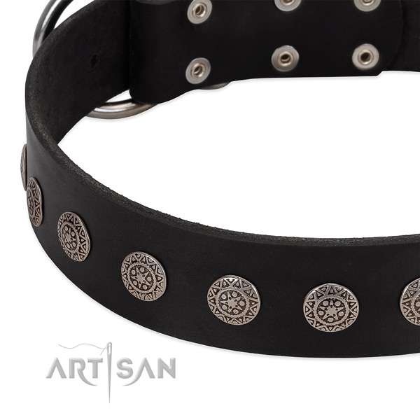 Exceptional dog collar of natural leather with studs