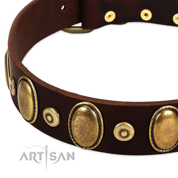 Easy wearing natural genuine leather collar for your handsome four-legged friend