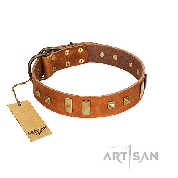 Full grain natural leather dog collar with rust resistant hardware