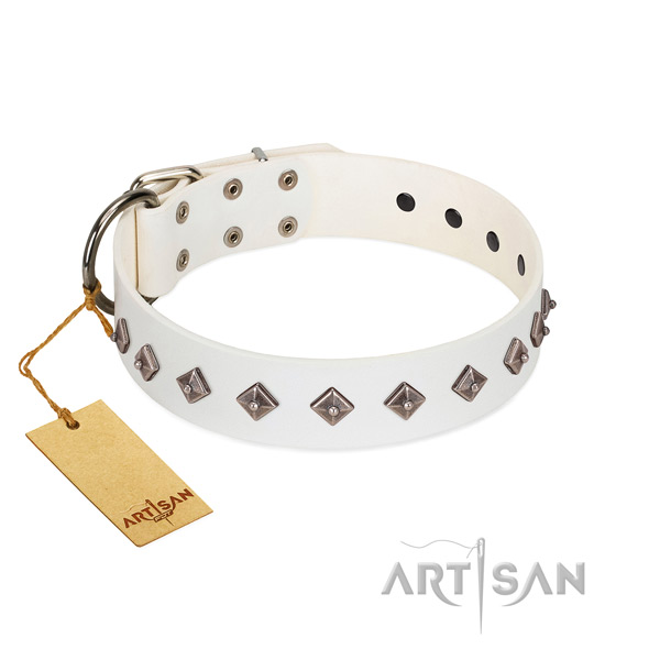 Exceptional adornments on full grain leather collar for walking your canine