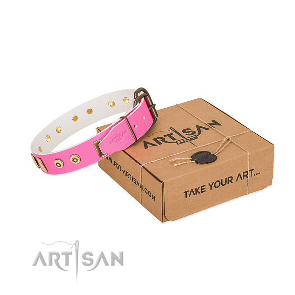 Genuine leather dog collar with impressive adornments for daily walking
