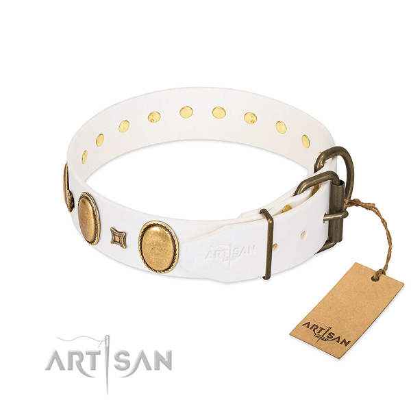 Reliable embellishments on handy use dog collar