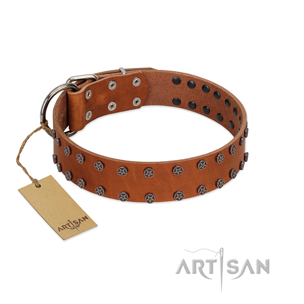 Decorated natural leather dog collar