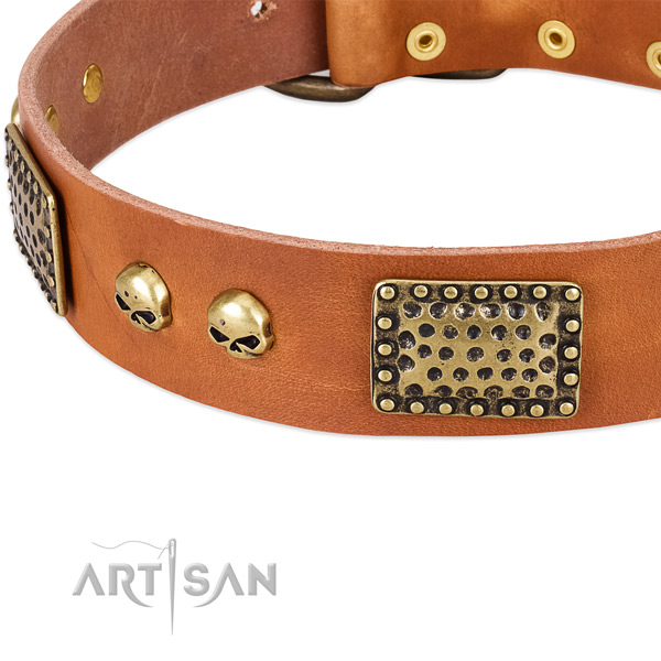Corrosion resistant studs on natural leather dog collar for your doggie