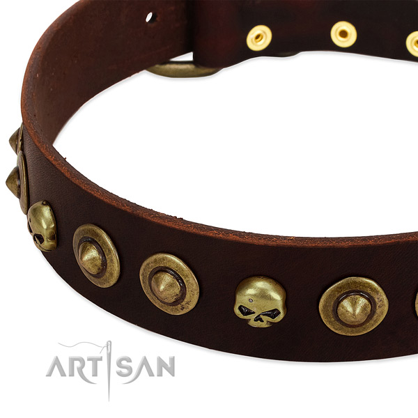 Designer adornments on natural leather collar for your four-legged friend