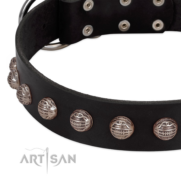 Full grain leather collar with exquisite adornments for your four-legged friend