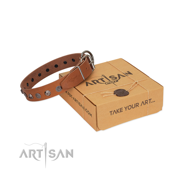 Full grain natural leather dog collar of gentle to touch material with extraordinary decorations