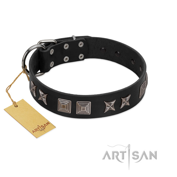 Natural leather dog collar with remarkable studs handmade canine