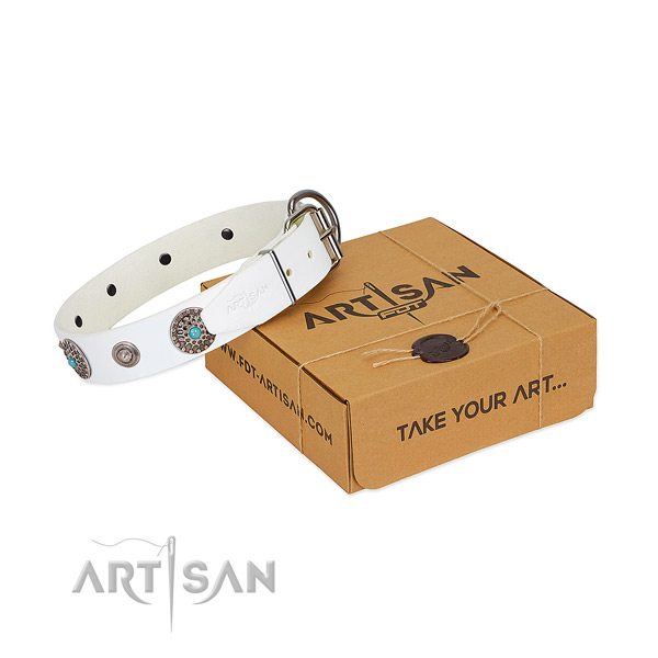 Everyday use top notch full grain natural leather dog collar with adornments