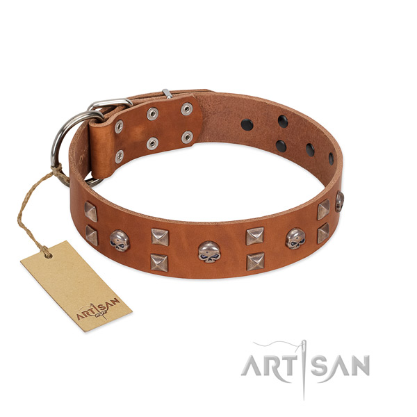 Comfortable wearing dog collar of natural leather with top notch studs