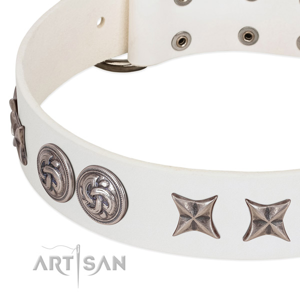 Natural leather collar with fashionable studs for your canine