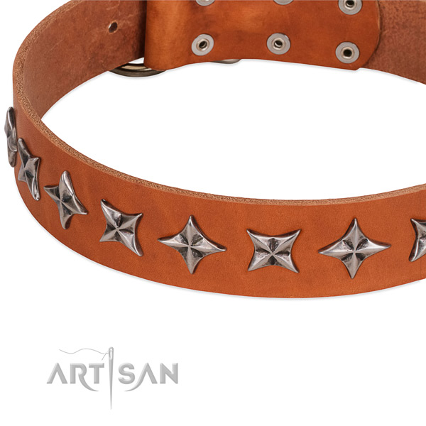 Comfortable wearing studded dog collar of best quality leather