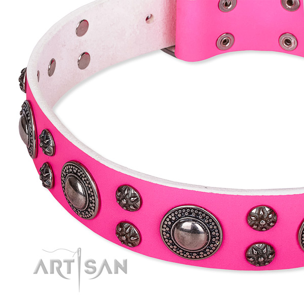 Handy use embellished dog collar of durable genuine leather