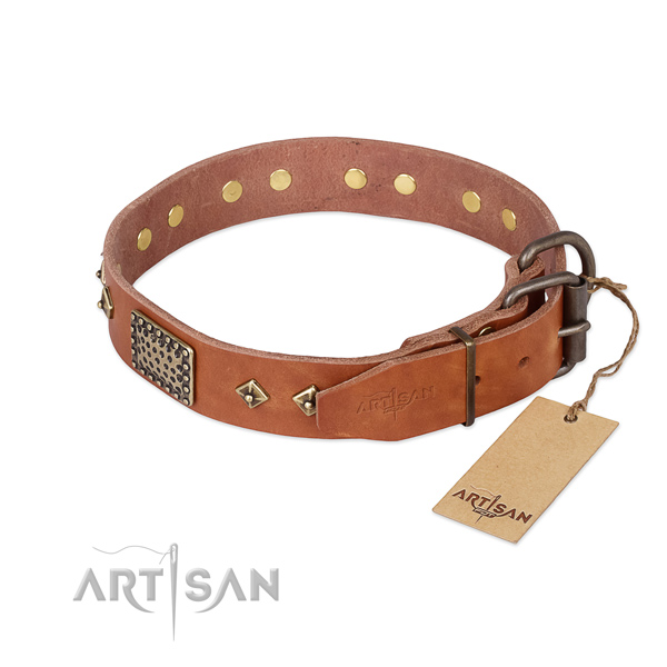 Full grain genuine leather dog collar with strong fittings and studs