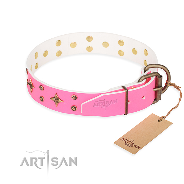 Reliable decorated dog collar of full grain natural leather