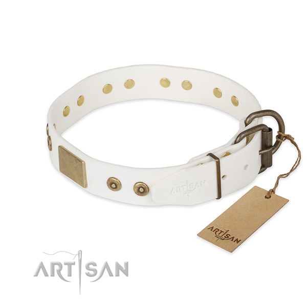 Natural leather dog collar with reliable hardware and adornments