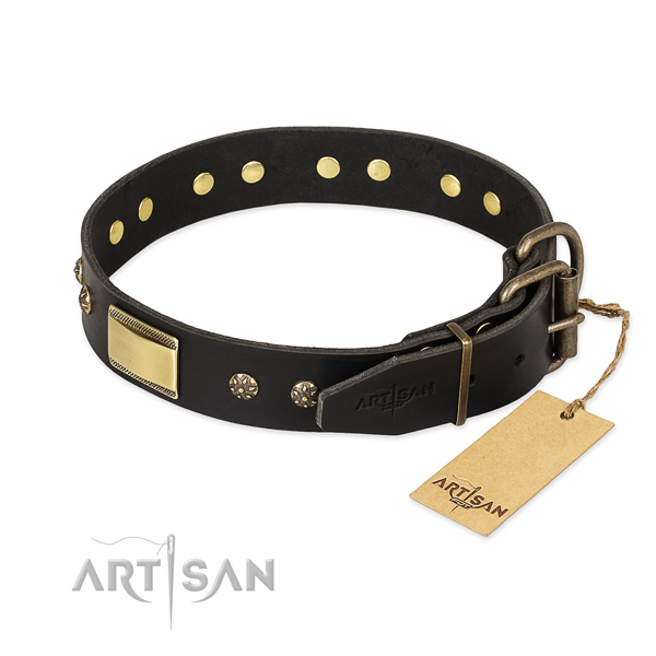 Leather dog collar with rust-proof fittings and decorations