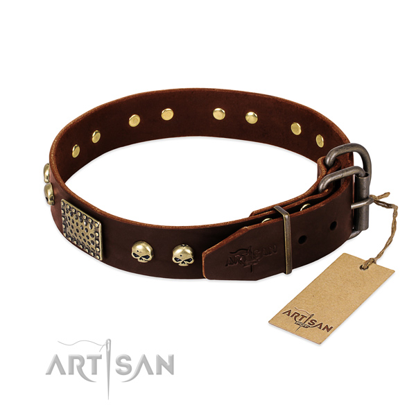 Rust-proof decorations on comfy wearing dog collar