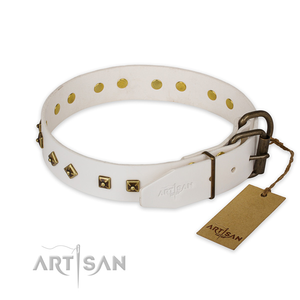 Rust resistant hardware on leather collar for basic training your four-legged friend