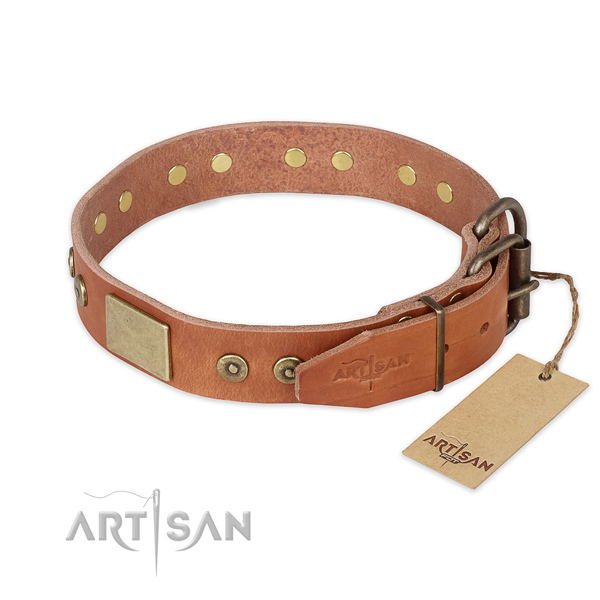 Reliable buckle on full grain natural leather collar for basic training your doggie