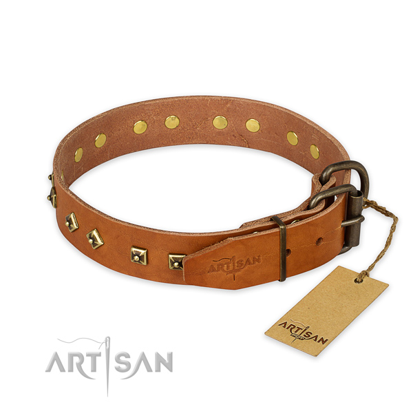 Reliable D-ring on full grain natural leather collar for walking your pet