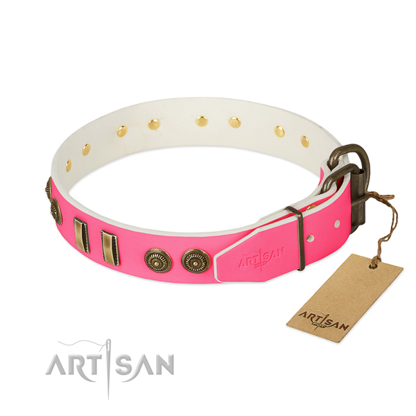 Rust-proof adornments on full grain leather dog collar for your dog