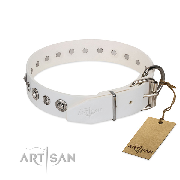 Top notch natural leather dog collar with fashionable studs