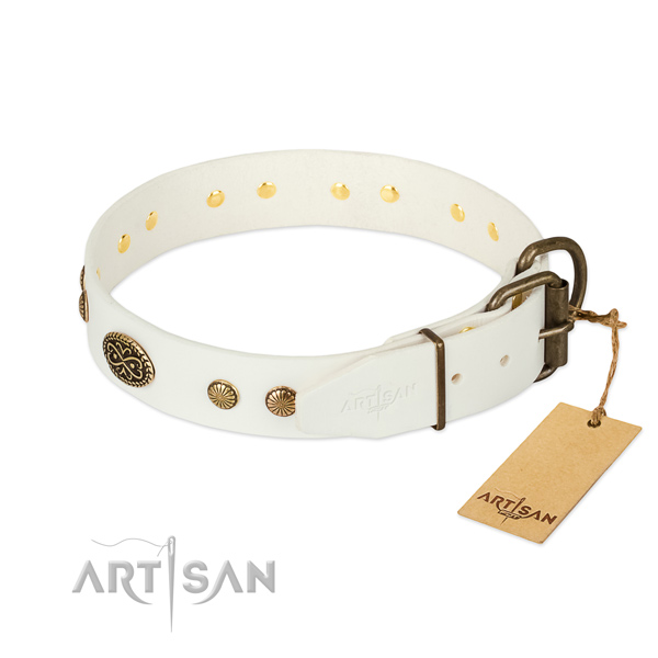 Durable embellishments on full grain natural leather dog collar for your pet