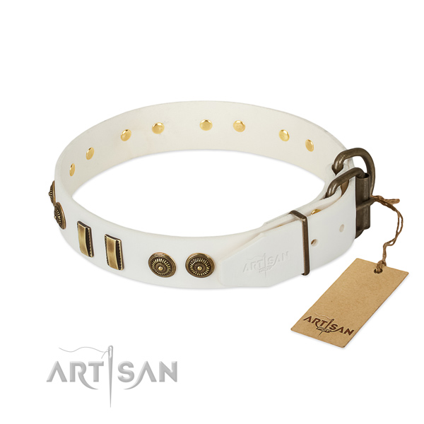 Corrosion resistant studs on natural leather dog collar for your canine