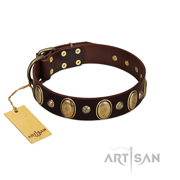 Natural leather dog collar of soft material with designer decorations