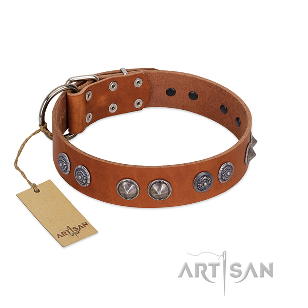 Reliable studs on easy wearing collar for your pet