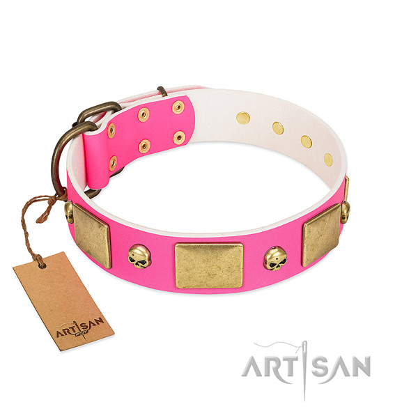 Top rate genuine leather collar with rust-proof studs for your canine