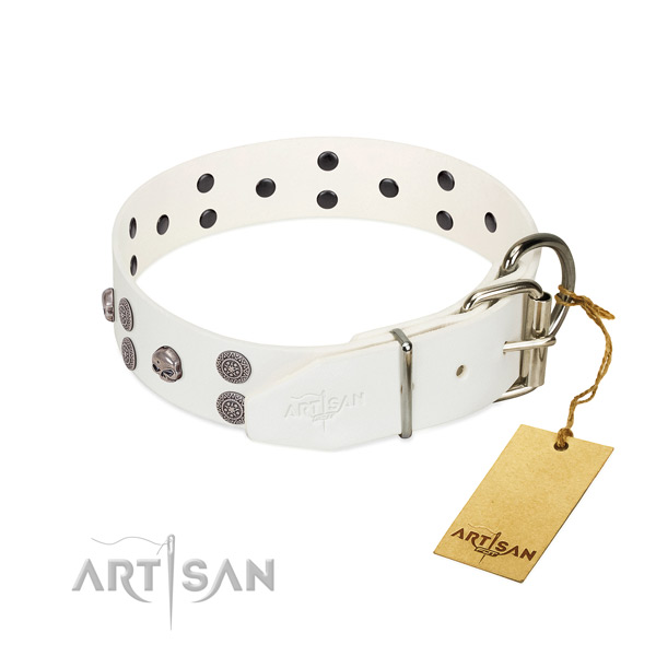 Best quality full grain genuine leather dog collar with decorations for comfortable wearing