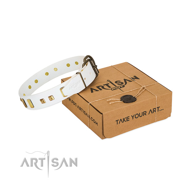 Gentle to touch leather dog collar with decorations for walking
