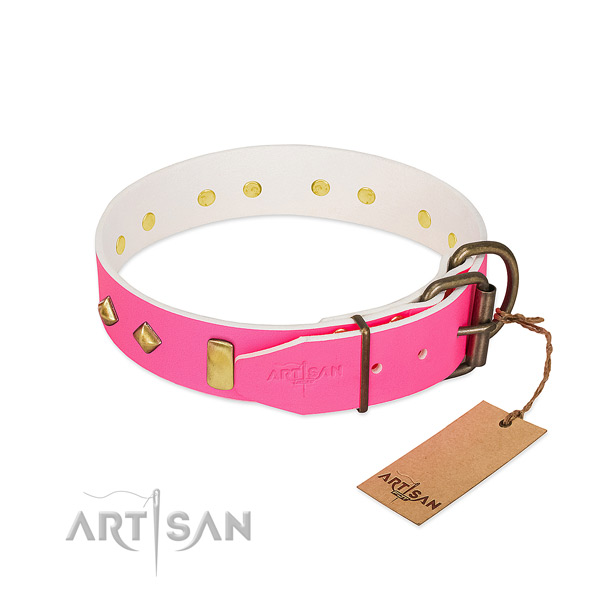 Genuine leather dog collar with corrosion resistant fittings for everyday use
