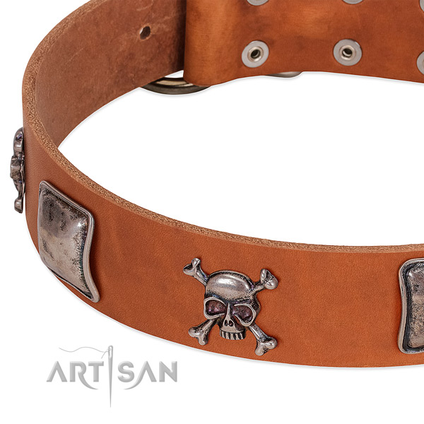 Rust-proof hardware on genuine leather dog collar