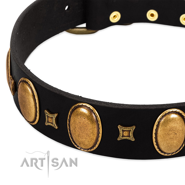 Leather dog collar with embellishments for comfy wearing