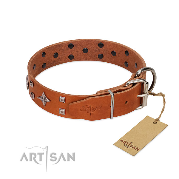 Remarkable leather collar for your doggie stylish walking