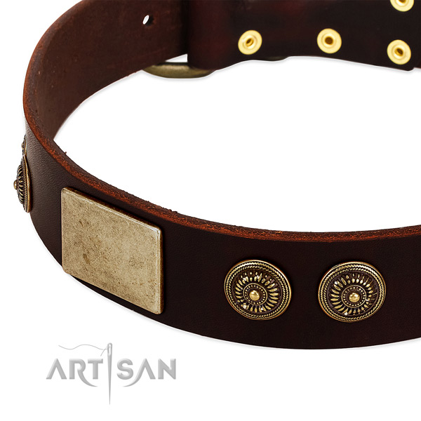 Durable fittings on full grain leather dog collar for your four-legged friend