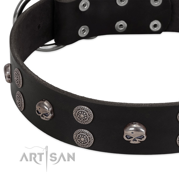 High quality natural leather dog collar with remarkable studs