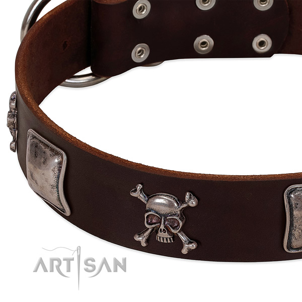 Rust-proof traditional buckle on full grain leather dog collar