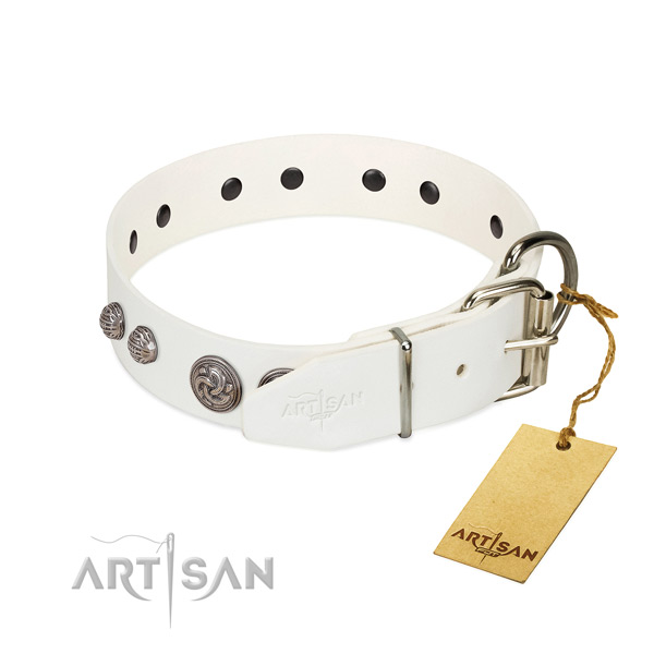 Rust resistant decorations on leather dog collar for your canine