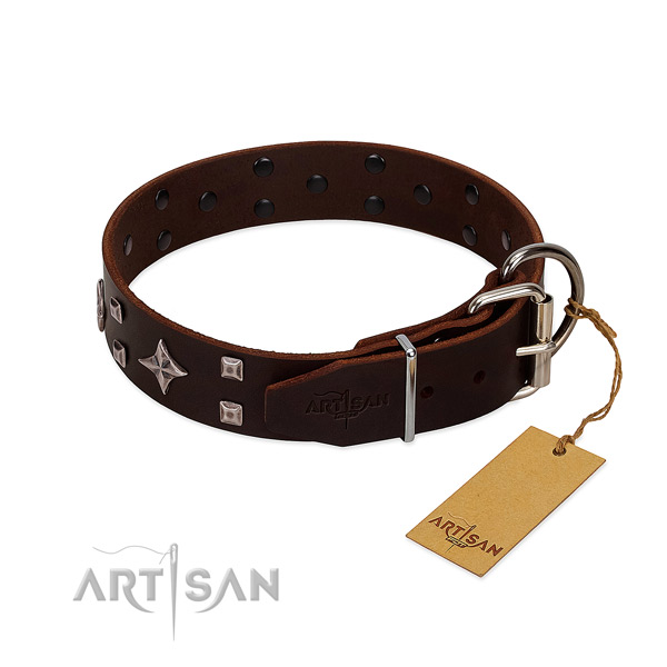 Significant full grain genuine leather collar for your dog daily walking