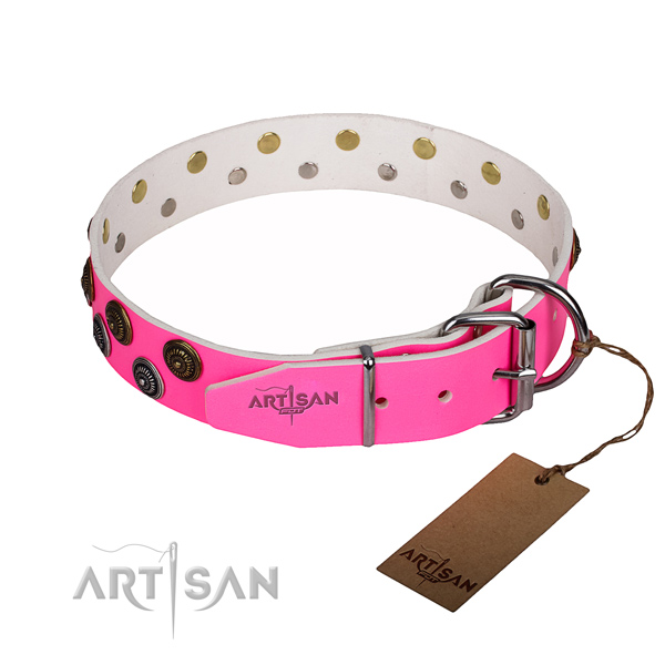 Daily use adorned dog collar of quality leather