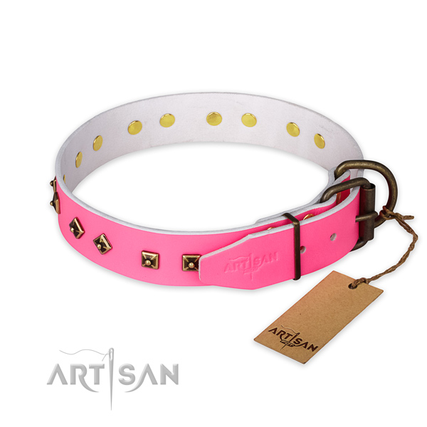 Corrosion resistant D-ring on leather collar for stylish walking your canine
