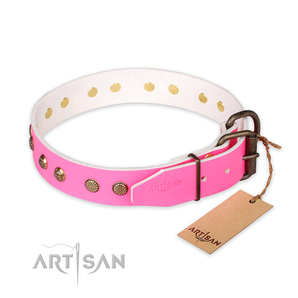 Reliable buckle on leather collar for your beautiful four-legged friend
