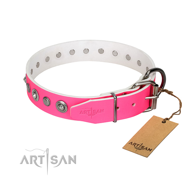 Strong full grain leather dog collar with stylish embellishments