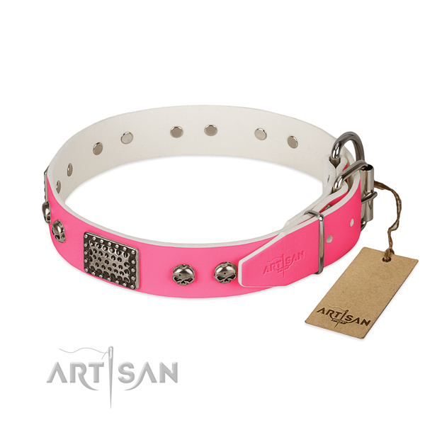 Durable traditional buckle on stylish walking dog collar